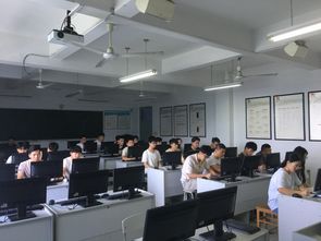 動態(tài)網(wǎng)站開發(fā)專項實訓 計算機應用技術(shù)學生的技術(shù)提升之路